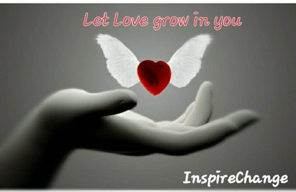 36854875_2145508782130699_6054621800967438336_n