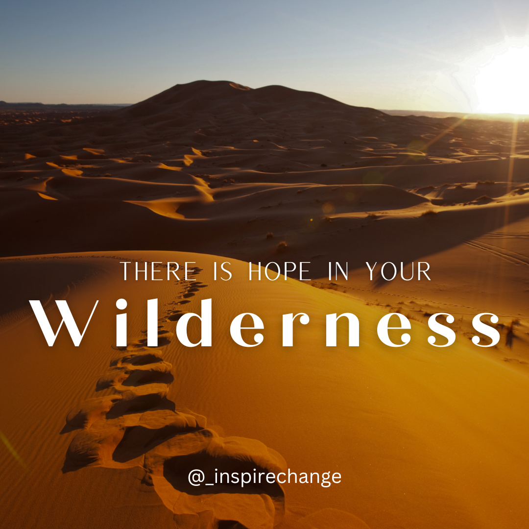 Hope in the Wilderness